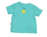 Aqua Mint Tropical Pineapple Design Boys Summer Set 2pc - Dee Republic